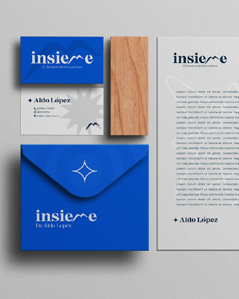 Insieme branding y web